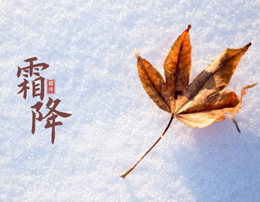 2022霜降节气发朋友圈的早安说说 霜降节气的暖心语录 2022霜降节气发朋友圈的早安说说 霜降节气的暖心语录