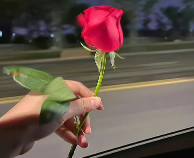 美到窒息的网名很干净 心动值爆棚的优质昵称 美到窒息的网名很干净 心动值爆棚的优质昵称