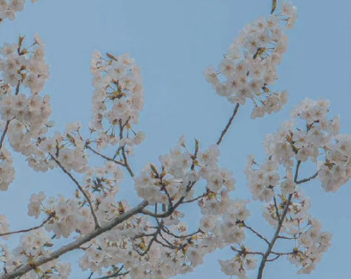 感叹自己一无所有的句子 生活跌倒了低谷的句子 感叹自己一无所有的句子 生活跌倒了低谷的句子