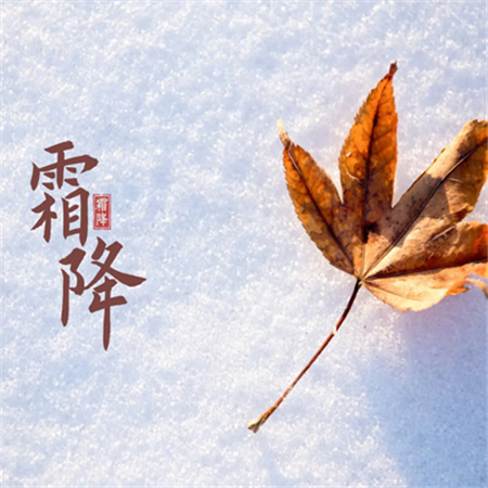 2023霜降节气唯美好看的图片 寒霜渐凝暖意意即达