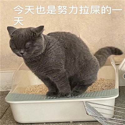 0070NSSfgy1h7ax5aezvmj30u00ym76m.jpg