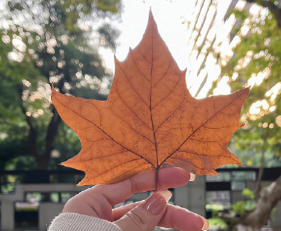 分手后让对方注意到自己的文案 吸引前任注意的文案 分手后让对方注意到自己的文案 吸引前任注意的文案