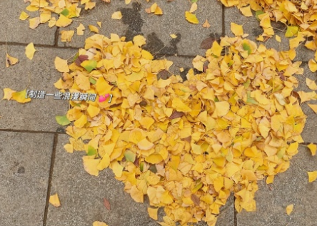 幸福的时光那么的短暂的说说 时光短暂且美好的语录 幸福的时光那么的短暂的说说 时光短暂且美好的语录