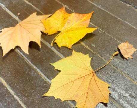 幸福的时光那么的短暂的说说 时光短暂且美好的语录 幸福的时光那么的短暂的说说 时光短暂且美好的语录