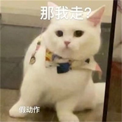 2023最火表情包最新出炉 你们的幸福吵到我啦