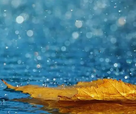下雨天很惬意的心情说说  享受雨天惬意悠然的句子
