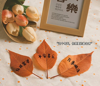 高雅脱俗的微信网名 眼前一亮而又脱俗的网名 高雅脱俗的微信网名 眼前一亮而又脱俗的网名