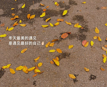 2022十一月最后一天的心情说说 十一月最后一天发的伤感语录 2022十一月最后一天的心情说说 十一月最后一天发的伤感语录