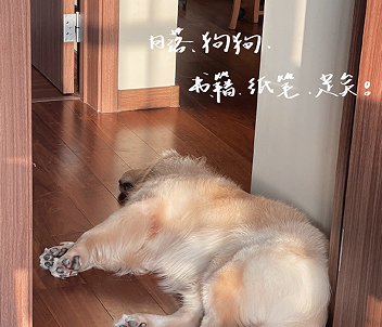 北漂的现实与心酸说说 北漂一族的心酸语录 北漂的现实与心酸说说 北漂一族的心酸语录