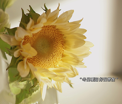 2022只剩最后一天的心情说说 今天是2022的最后一天的说说 2022只剩最后一天的心情说说 今天是2022的最后一天的说说