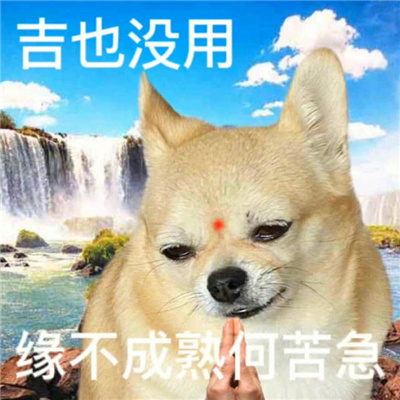 有趣又好玩的表情很潮流 一起变开心的优质表情