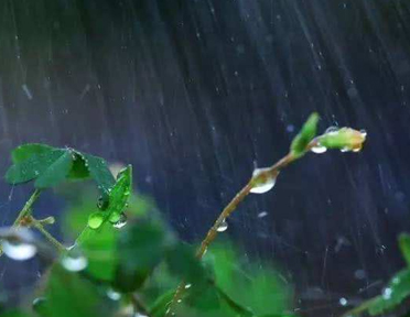 2023绵绵春雨的唯美句子 一场春雨一场暖的好听文案