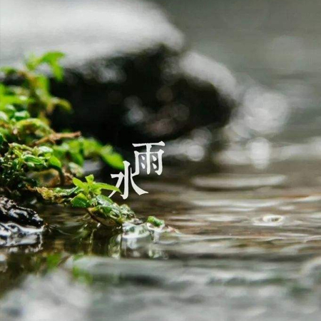 2023雨水节气唯美配图素材 万物复苏希望发芽