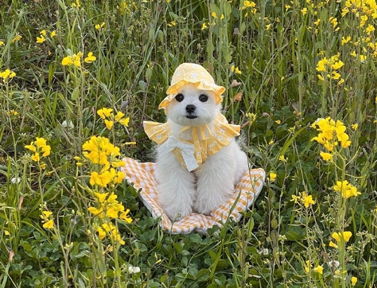 image.png image.png