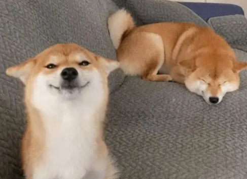 image.png image.png