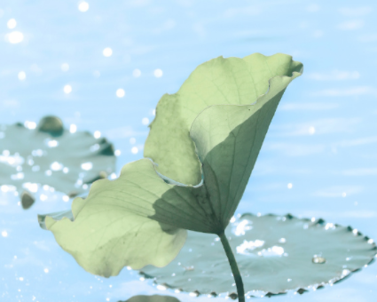 image.png image.png
