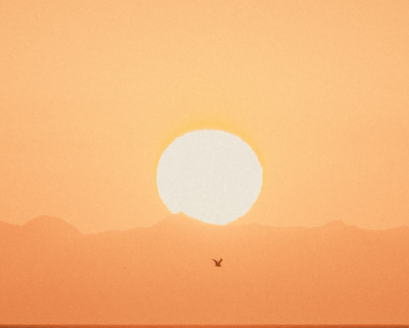 image.png image.png