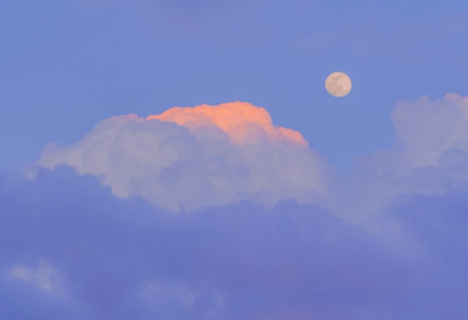 image.png image.png