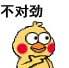 有意思的鹦鹉兄弟gif小表情合集 2023全新动态表情大全很热门