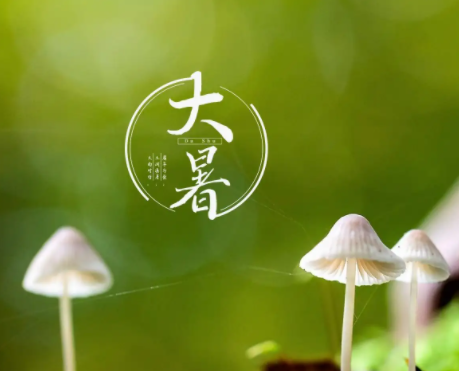 2022大暑节气的心情说说 大暑节气微信祝福语 2022大暑节气的心情说说 大暑节气微信祝福语