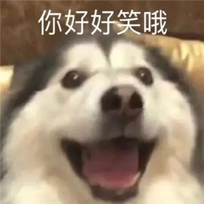 6958e69dgy1h11vafro4sj20fv0f5q4d.jpg