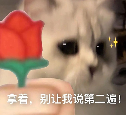 简简单单又很可爱的抖音昵称 俏皮一点又蛮可爱的抖音网名 简简单单又很可爱的抖音昵称 俏皮一点又蛮可爱的抖音网名