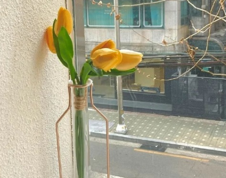 生活需要用心经营的句子 好好经营自己的生活的文案 生活需要用心经营的句子 好好经营自己的生活的文案
