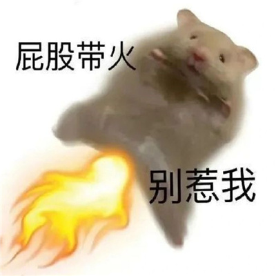 006upAugly1h57s054sd8j30zk0xvgnt.jpg