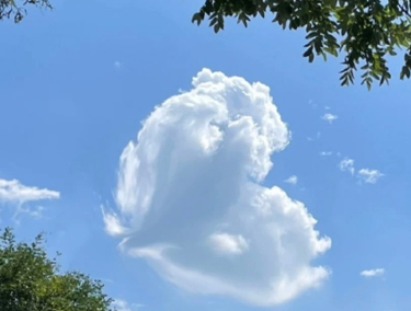 天选之子的说说 运气爆棚很幸运的朋友圈短句 天选之子的说说 运气爆棚很幸运的朋友圈短句