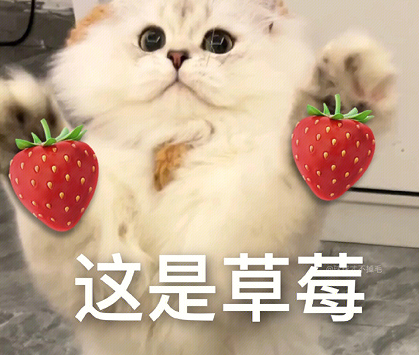 搞笑欠揍的网名笑死人 不撞名的沙雕昵称 搞笑欠揍的网名笑死人 不撞名的沙雕昵称