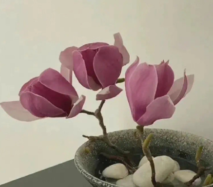 话糙理不糙的经典文案 干脆利落有道理的句子 话糙理不糙的经典文案 干脆利落有道理的句子