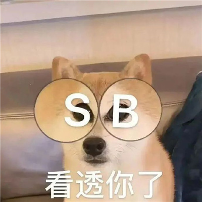 006WYq6ngy1h3swrwpz9tj30l60l6jse.jpg