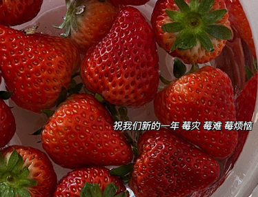 2023好听的新年说说带图片 兔年吉祥语带配图 2023好听的新年说说带图片 兔年吉祥语带配图