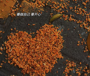 秋日温柔又高级的小众文案 超惊艳的浪漫感说说 秋日温柔又高级的小众文案 超惊艳的浪漫感说说