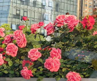 爸妈结婚四十周年朋友文案 爸妈四十周年结婚纪念日语录 爸妈结婚四十周年朋友文案 爸妈四十周年结婚纪念日语录