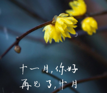2023十月再见十一月你好心情短句 告别十月迎接十一月的语录 2023十月再见十一月你好心情短句 告别十月迎接十一月的语录