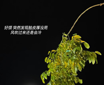 2023秋季再见冬季你好心情说说 告别秋季迎接冬季的说说 2023秋季再见冬季你好心情说说 告别秋季迎接冬季的说说