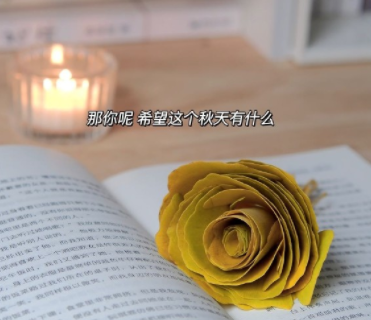 告诫不要斤斤计较的说说 没必要计较太多的短句 告诫不要斤斤计较的说说 没必要计较太多的短句
