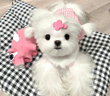 独特清冷感的签名短句 边清零边拥有 独特清冷感的签名短句 边清零边拥有