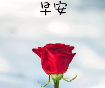 2024淡然心态的早安励志文案短句 心态好的早安语录温柔暖心 2024淡然心态的早安励志文案短句 心态好的早安语录温柔暖心