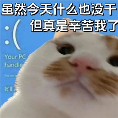 会给我们带来很多乐趣的表情  吃的苦中苦伺候人上人