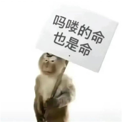 9516662fgy1hjojd7rp9pj20l70l7wey.jpg
