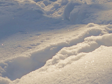 2023初雪文案发朋友圈很浪漫 张万森下雪了 2023初雪文案发朋友圈很浪漫 张万森下雪了