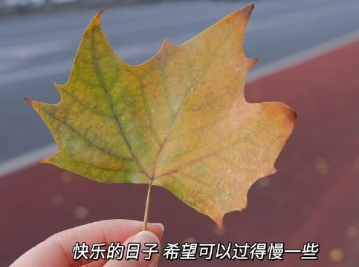 享受独处的顶级文案 高质量的独处经典短句 享受独处的顶级文案 高质量的独处经典短句