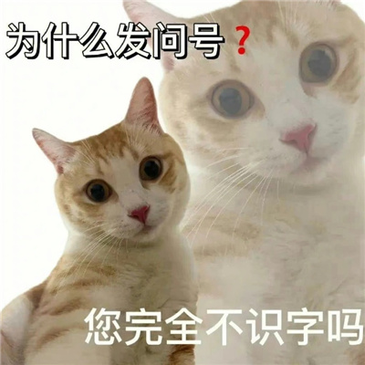 张张都是经典且好用的表情大全 我是木头你是下头