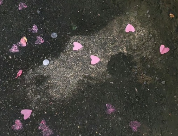 生活中非常遗憾的文案 将遗憾写到极致的语录 生活中非常遗憾的文案 将遗憾写到极致的语录