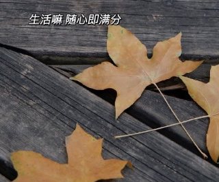 2023再见2024你好心情说说 希望2024会更好的说说 2023再见2024你好心情说说 希望2024会更好的说说