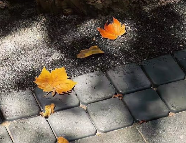 喜欢干净整洁唯美说说 爱收拾家的女人的语句 喜欢干净整洁唯美说说 爱收拾家的女人的语句