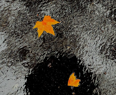 浪漫而不烂俗的自由无畏文案 很有道理的好听语录 浪漫而不烂俗的自由无畏文案 很有道理的好听语录