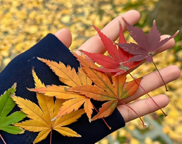 让自己在意的事情越来越少的说说 不在乎的东西越来越多的短句